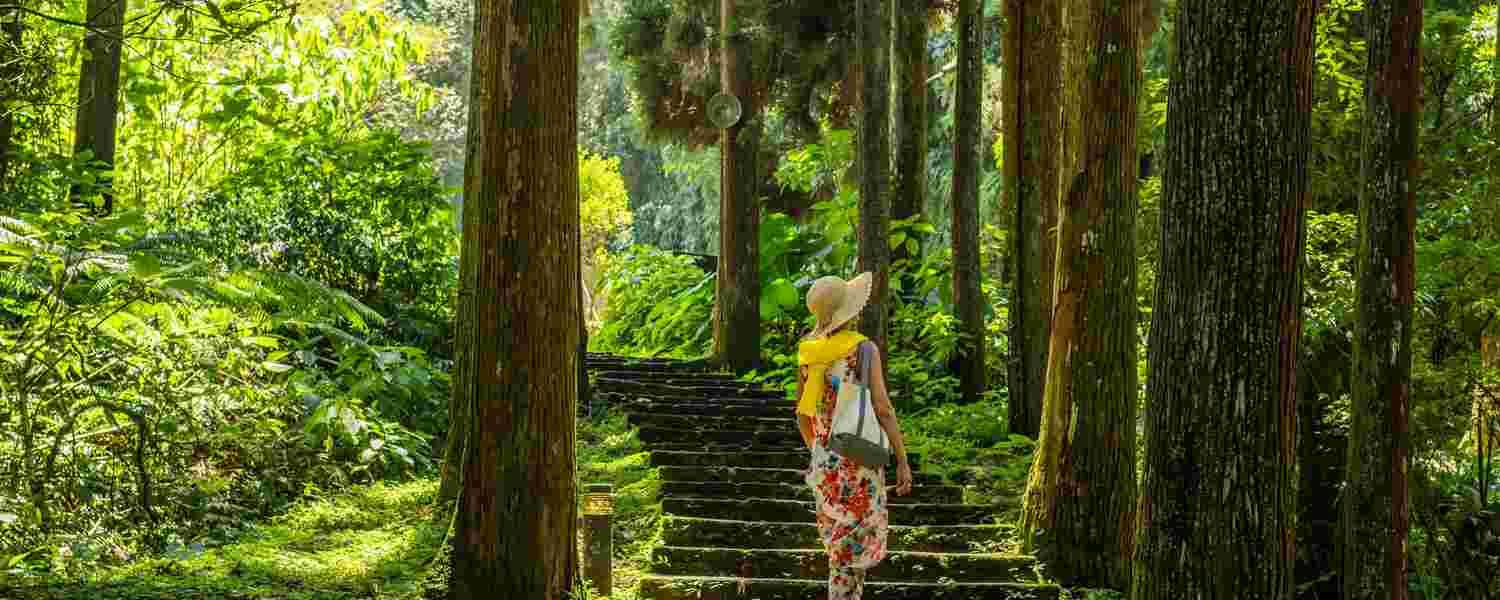 Travel and Tour